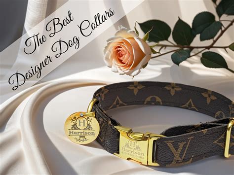 christian dior dog|best luxury dog collars.